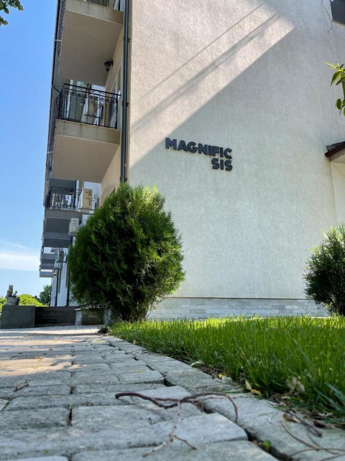 Magnific Sis